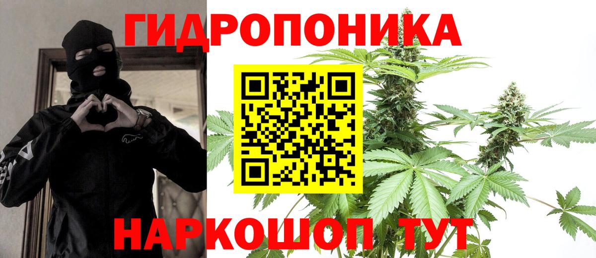 Шишки марихуана семена  Марихуана THC 21%  Конопля марихуана  Вход с VPN  МАРИХУАНА ГИДРОПОН  Каменск-Шахтинский 